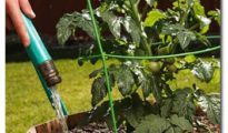 Water Conservation in the Garden: Ways to Save Water and Still Keep Your Garden Thriving