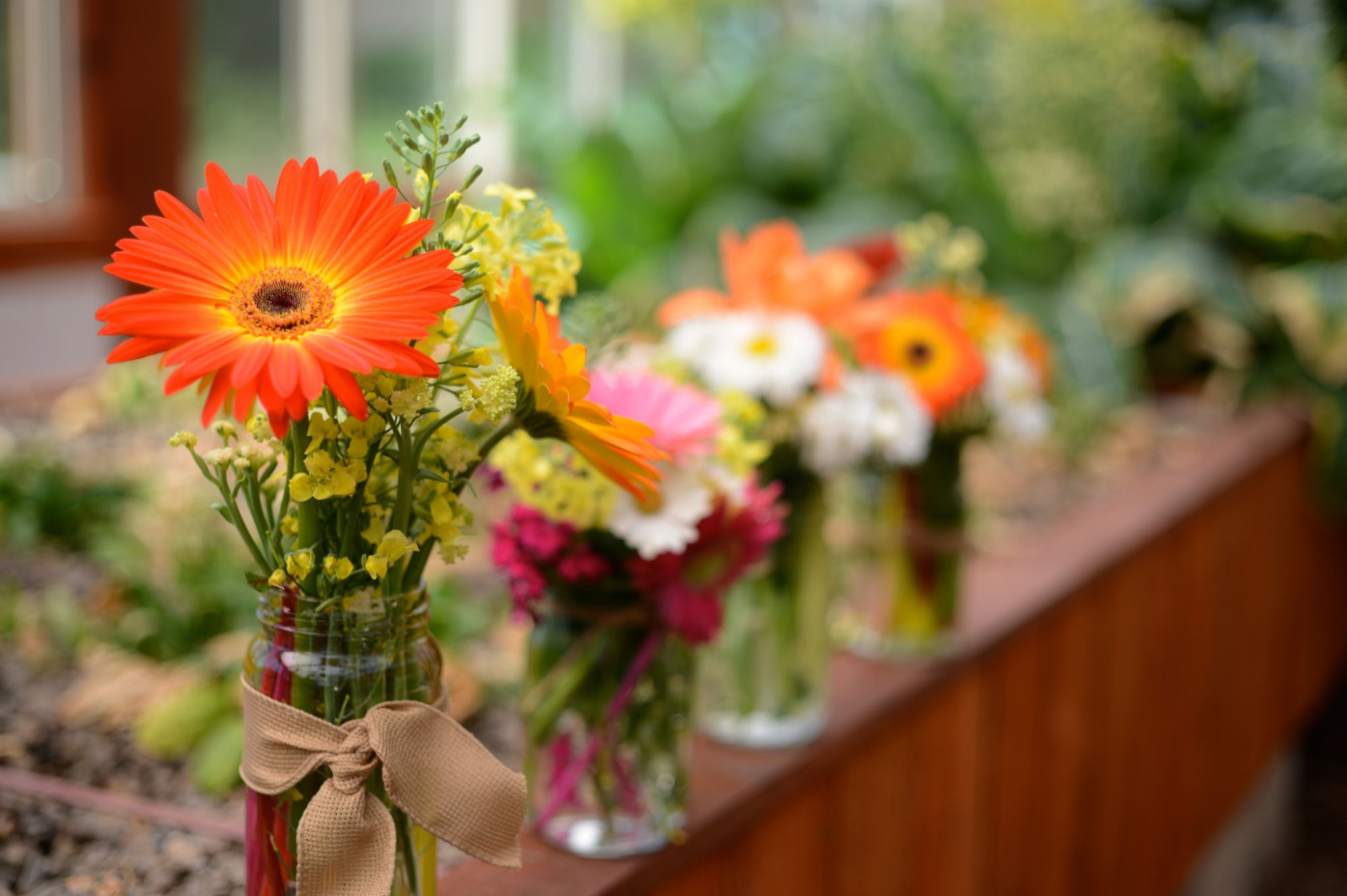 how-to-keep-cut-flowers-fresh-a-guide-to-making-cut-flowers-last