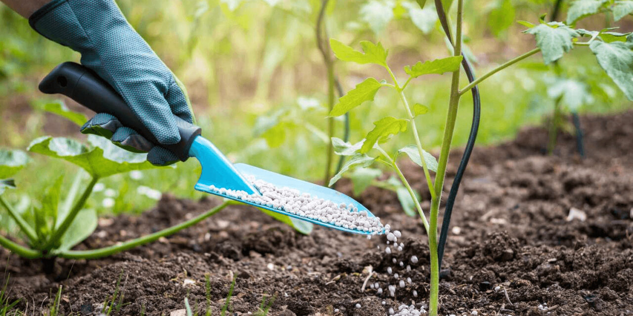 The Ultimate Guide to Spring Fertilizing: When and What to Feed Your Plants